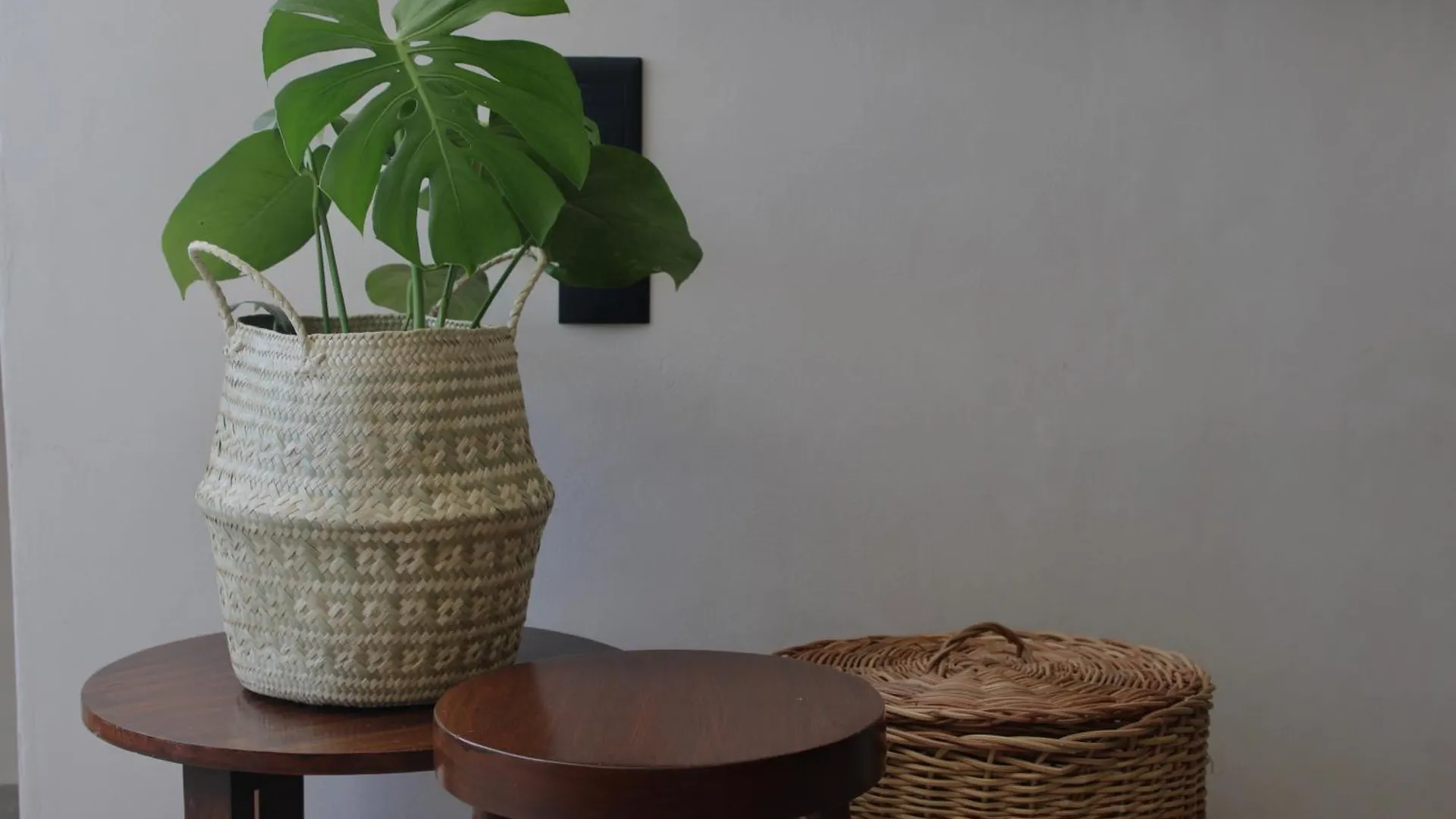 Lua Boutique Studios Cancun Mexico